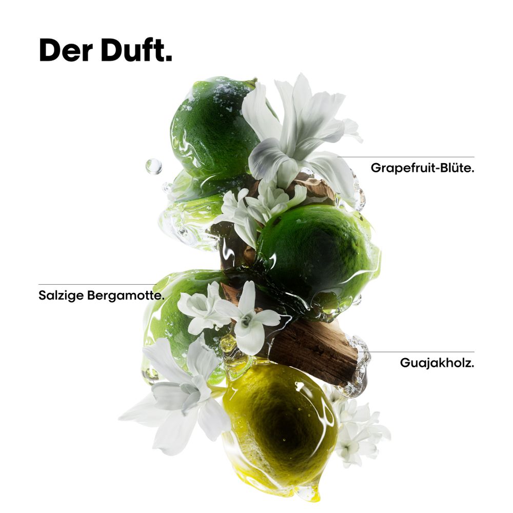 L'Oreal Professionnel Serie Expert Metal Detox Geschenkset Trio - Shampoo 300 ml + Mask 250 ml + Öl 50 ml