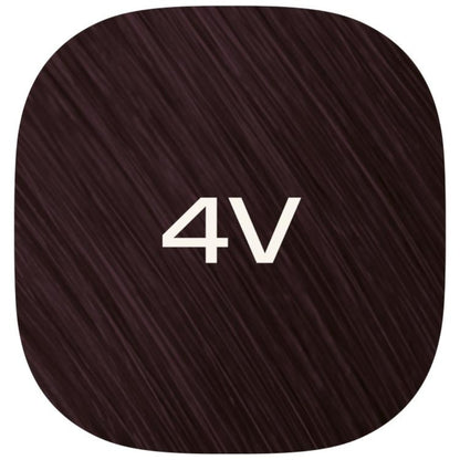 4V - Violette Dahlie