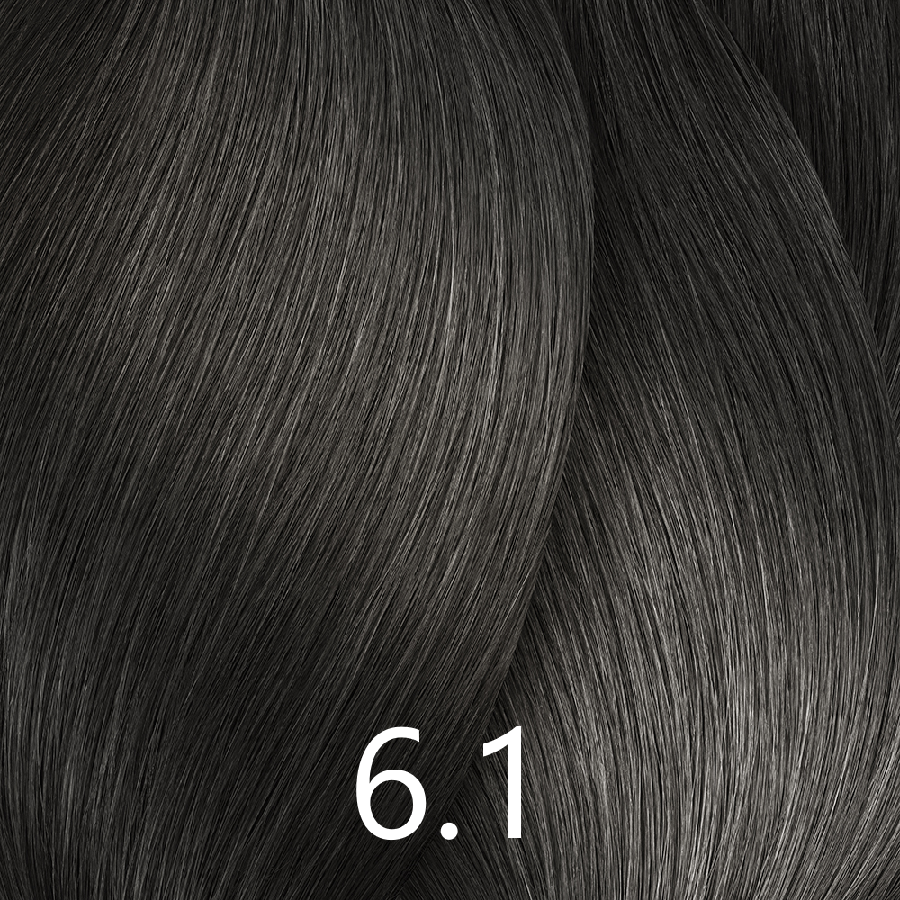6.1 DUNKELBLOND ASCH