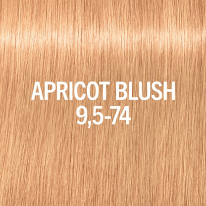 9,5-74 Apricot Blush