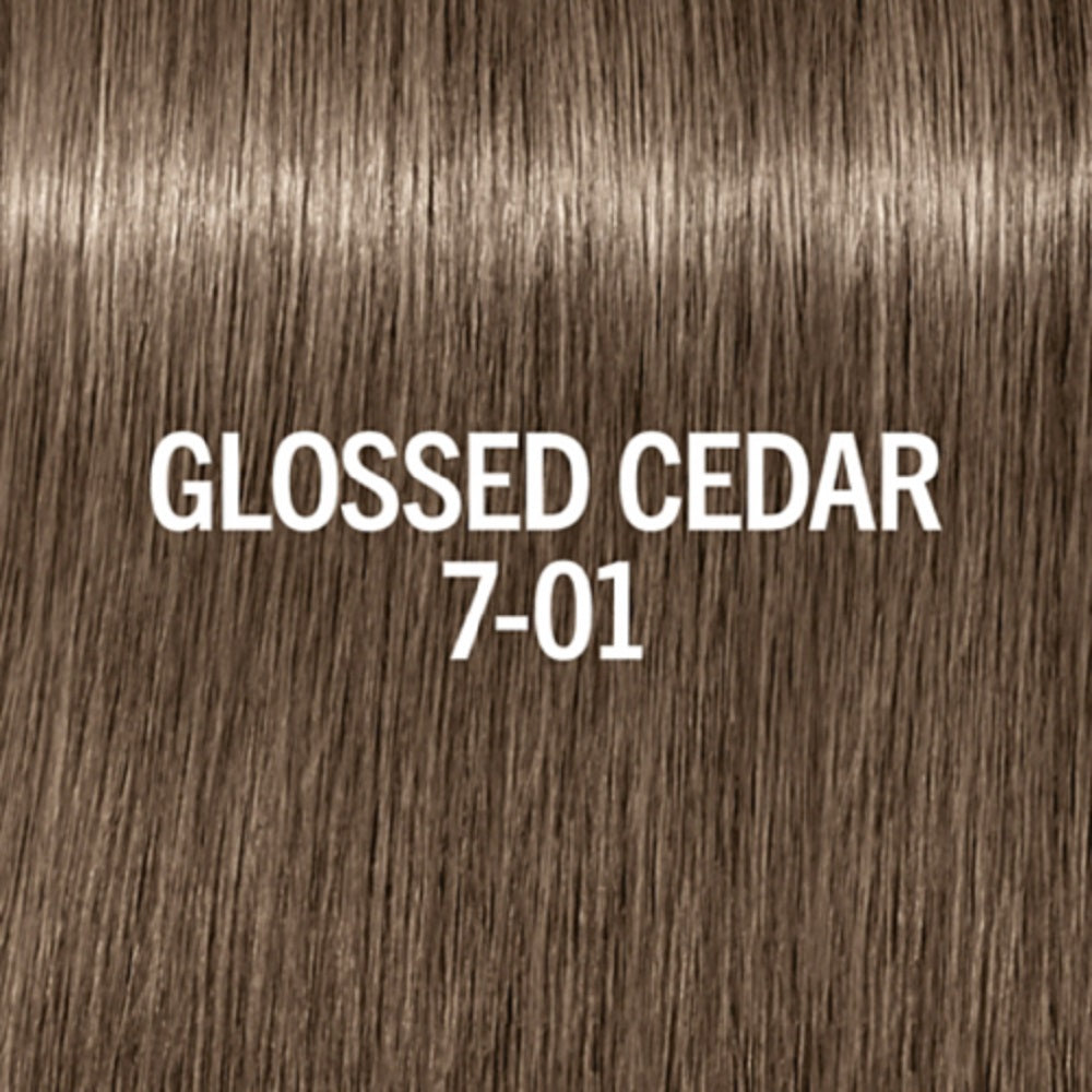 7-01 Glossed Cedar