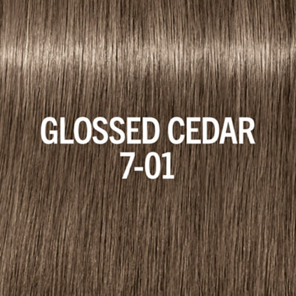 7-01 Glossed Cedar