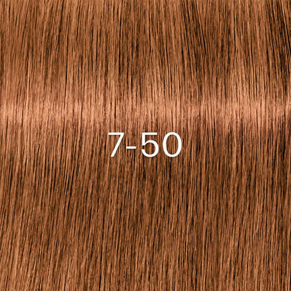 Schwarzkopf Igora Zero Amm Couleurs 60 ml