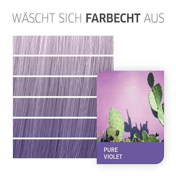Pure Violet
