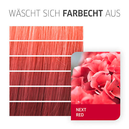 Next Red